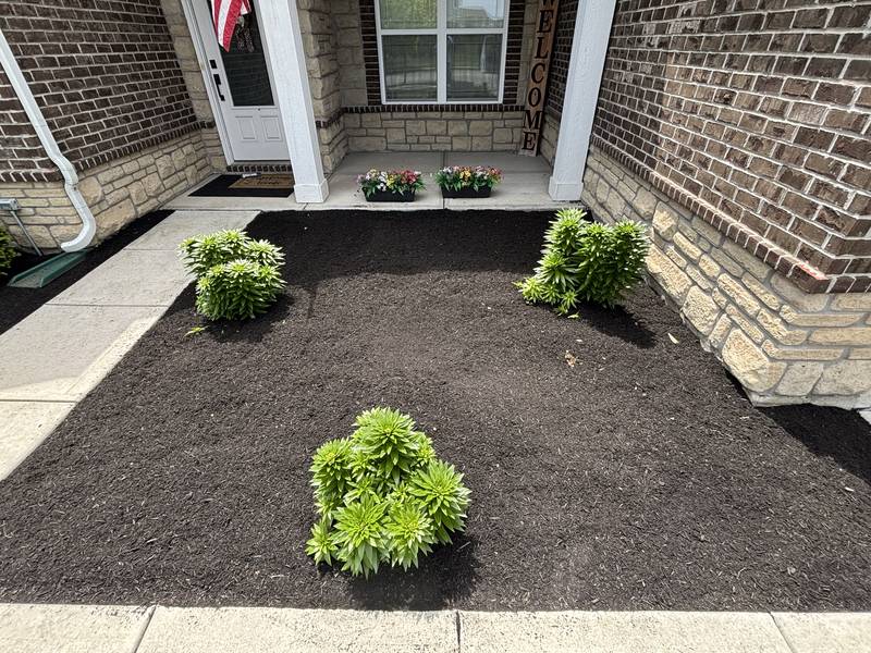 Fresh spring mulch install at a front entry